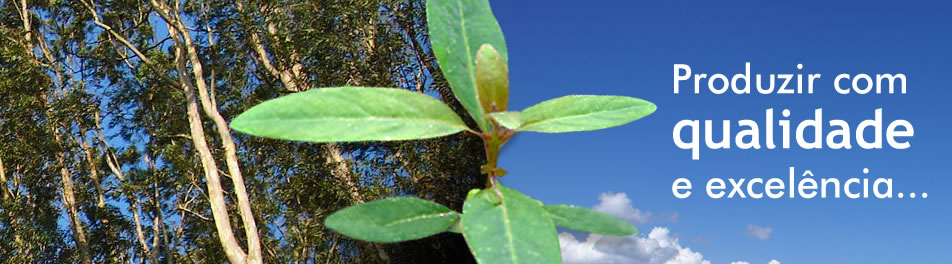 Barra do Cravar - Agroflorestal S/A